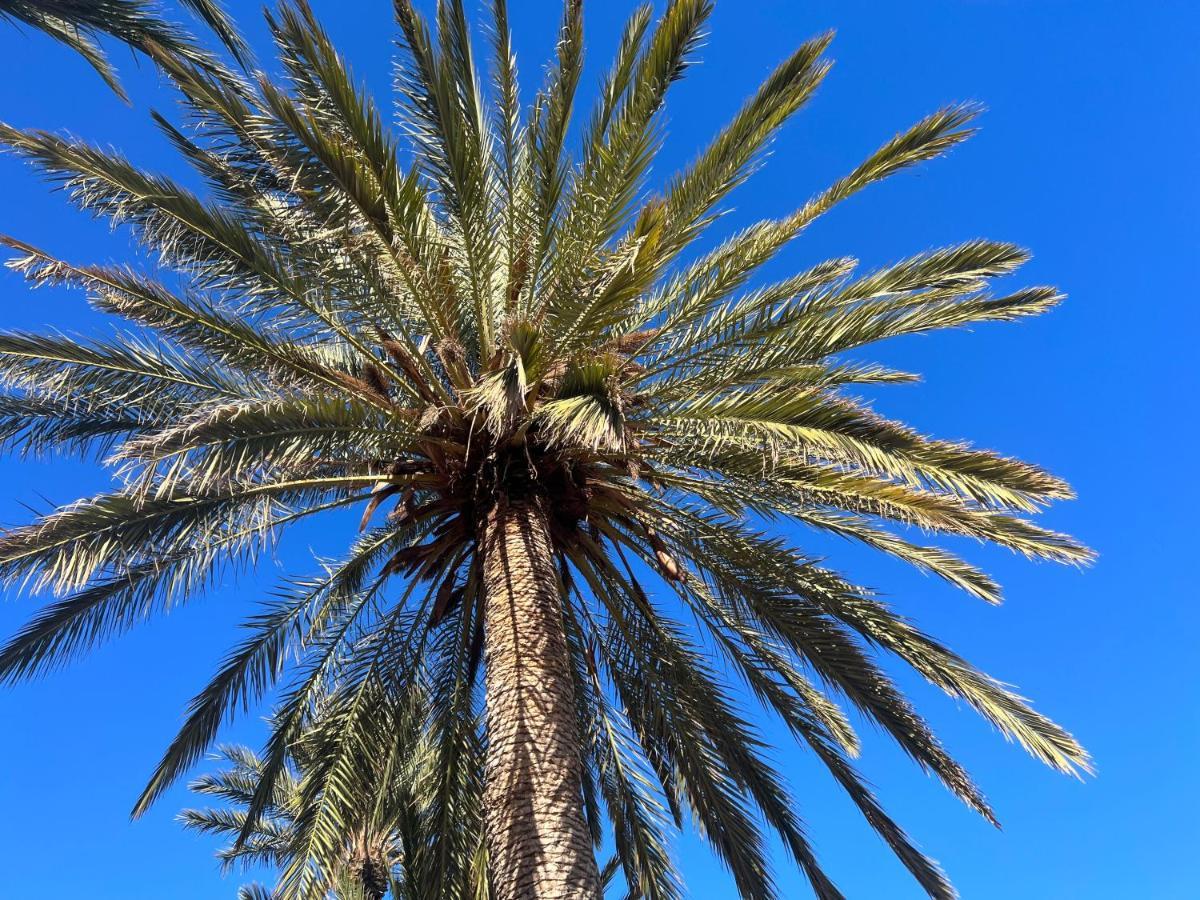 Fincasol San Sebastián de la Gomera Eksteriør billede